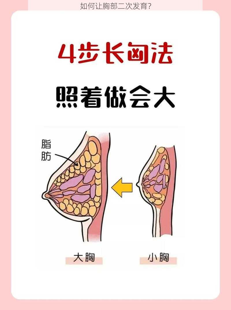 如何让胸部二次发育?