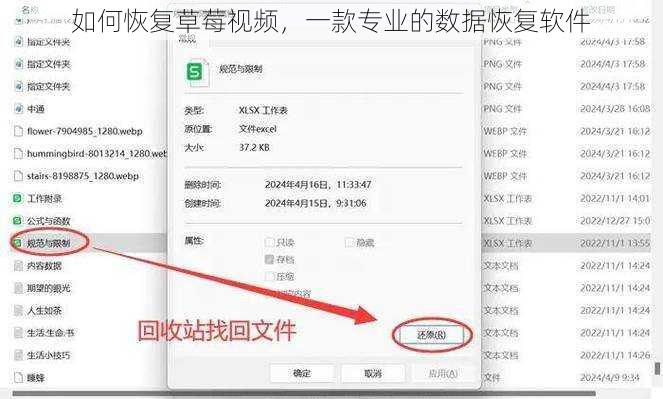 如何恢复草莓视频,一款专业的数据恢复软件