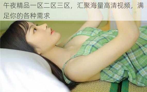 午夜精品一区二区三区,汇聚海量高清视频,满足你的各种需求