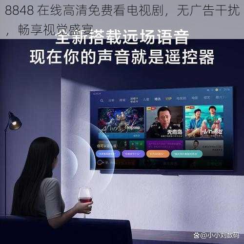 8848 在线高清免费看电视剧,无广告干扰,畅享视觉盛宴