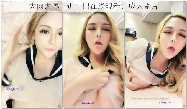 大肉大捧一进一出在线观看:成人影片