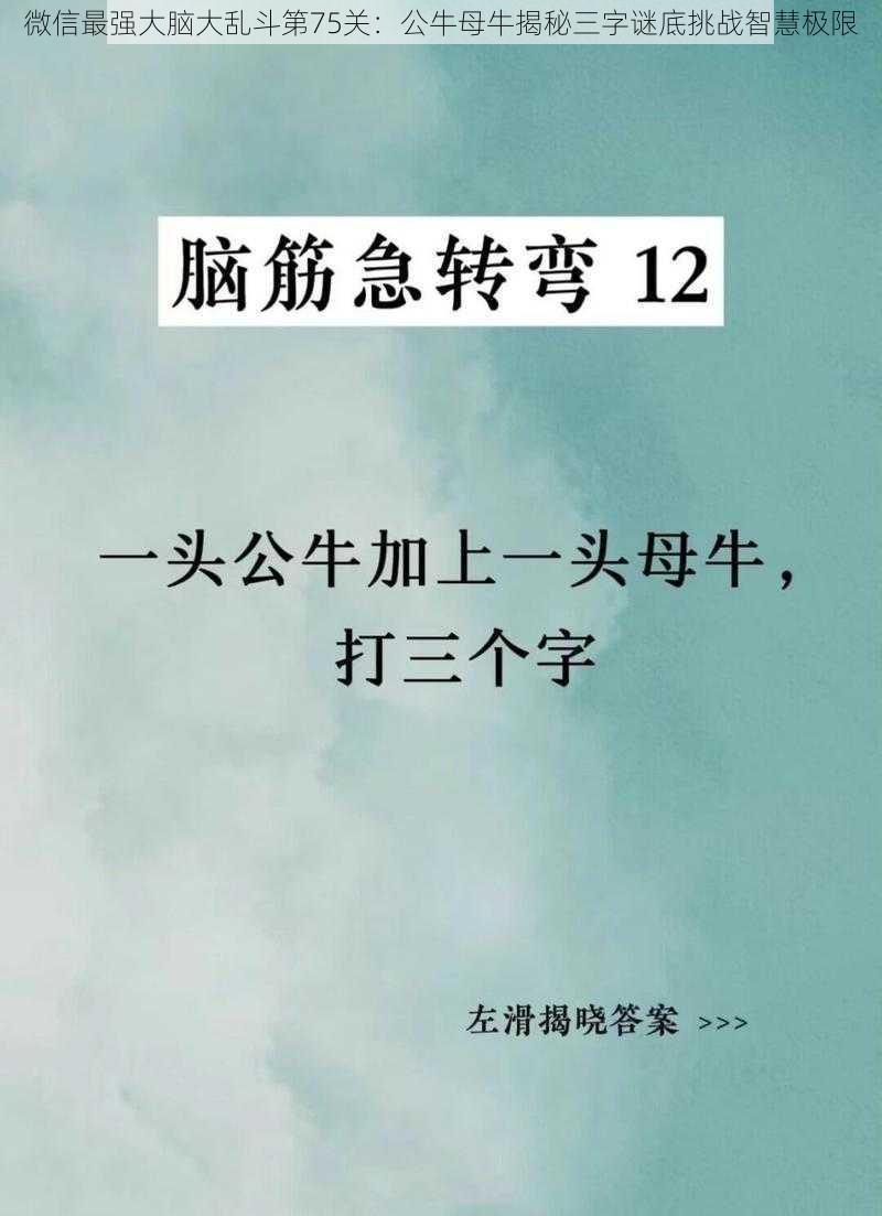 微信最强大脑大乱斗第75关:公牛母牛揭秘三字谜底挑战智慧极限