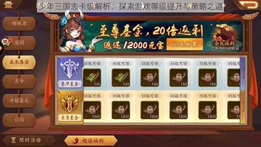 少年三国志卡级解析:探索游戏等级提升与策略之道