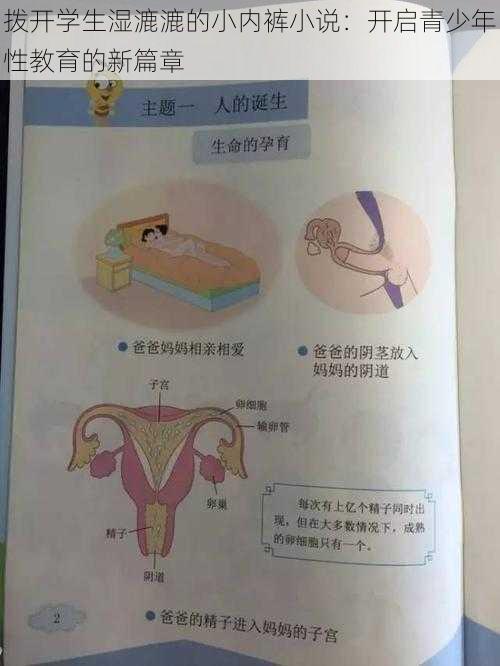 拨开学生湿漉漉的小内裤小说:开启青少年性教育的新篇章