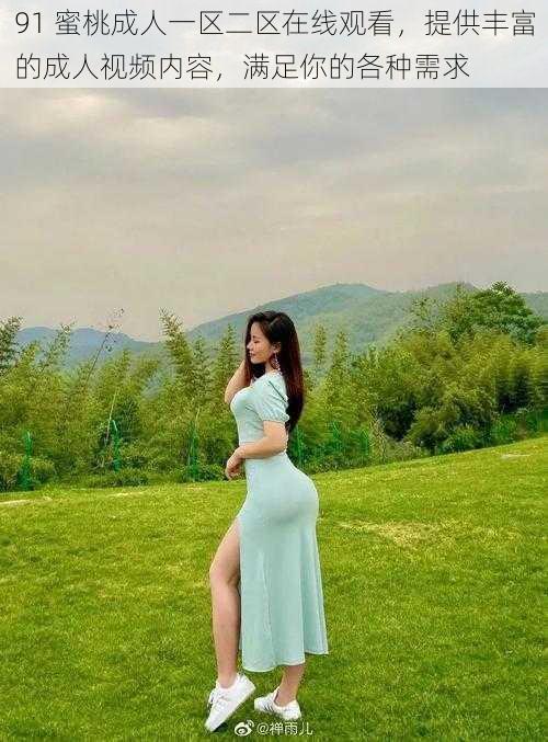 91 蜜桃成人一区二区在线观看,提供丰富的成人视频内容,满足你的各种需求