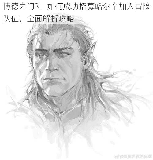 博德之门3:如何成功招募哈尔辛加入冒险队伍,全面解析攻略