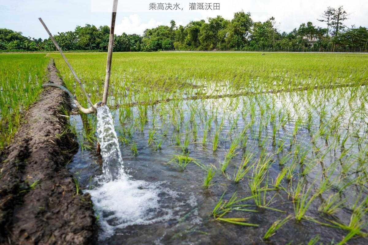 乘高决水,灌溉沃田
