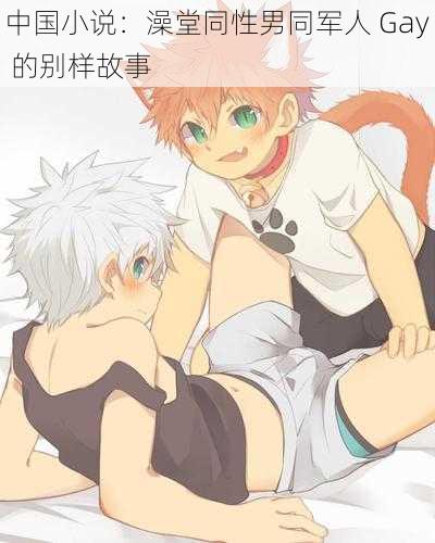 中国小说:澡堂同性男同军人 Gay 的别样故事