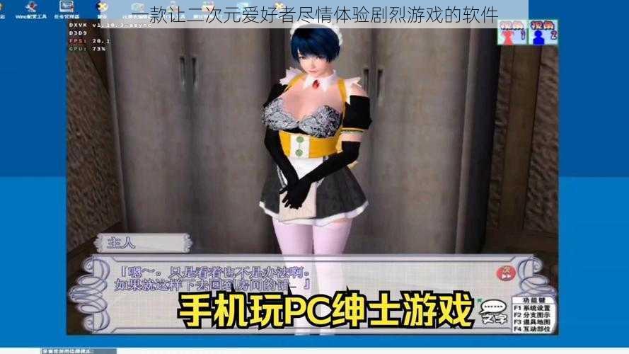 一款让二次元爱好者尽情体验剧烈游戏的软件