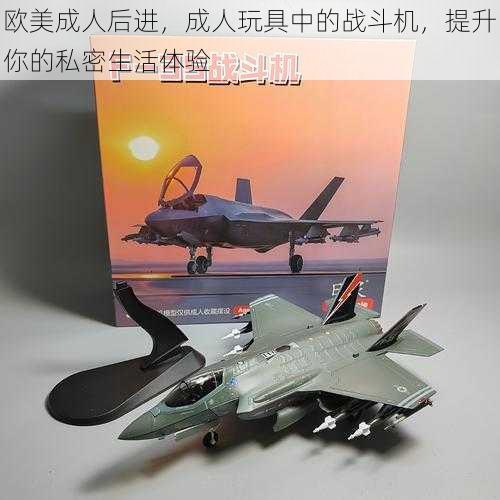 欧美成人后进,成人玩具中的战斗机,提升你的私密生活体验