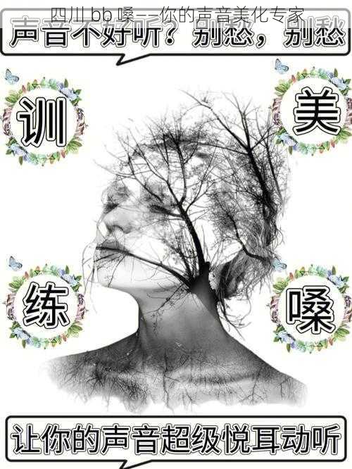 四川 bb 嗓——你的声音美化专家