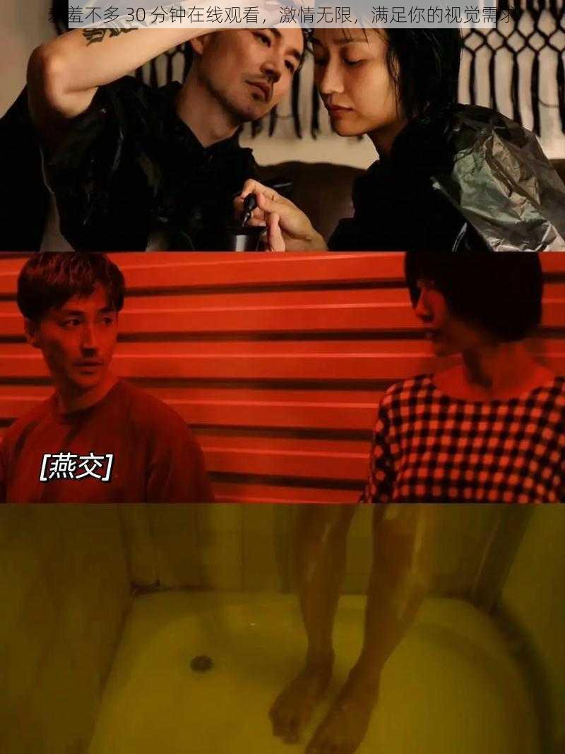 羞羞不多 30 分钟在线观看,激情无限,满足你的视觉需求