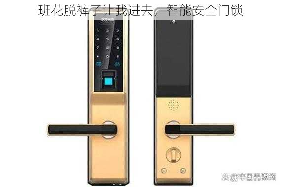 班花脱裤子让我进去,智能安全门锁