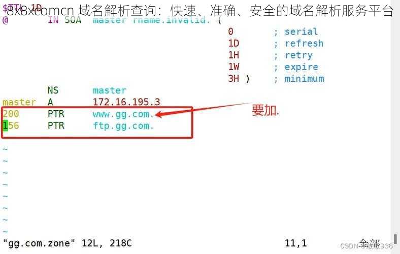8x8xcomcn 域名解析查询:快速、准确、安全的域名解析服务平台