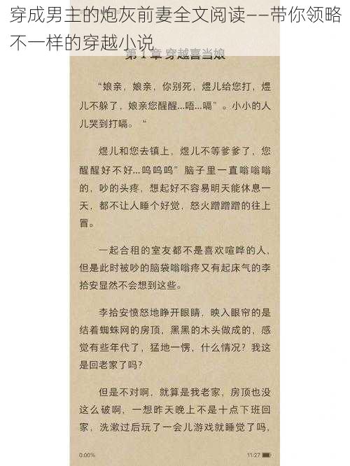 穿成男主的炮灰前妻全文阅读——带你领略不一样的穿越小说