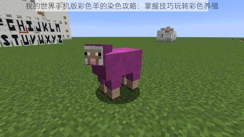 我的世界手机版彩色羊的染色攻略:掌握技巧玩转彩色养殖