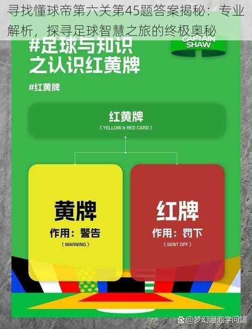 寻找懂球帝第六关第45题答案揭秘:专业解析,探寻足球智慧之旅的终极奥秘