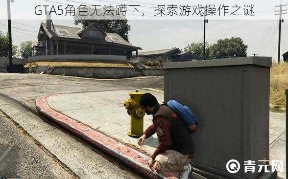GTA5角色无法蹲下,探索游戏操作之谜