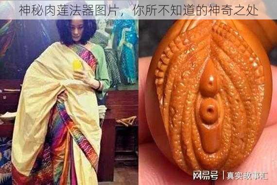 神秘肉莲法器图片,你所不知道的神奇之处