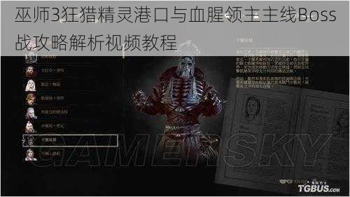 巫师3狂猎精灵港口与血腥领主主线Boss战攻略解析视频教程