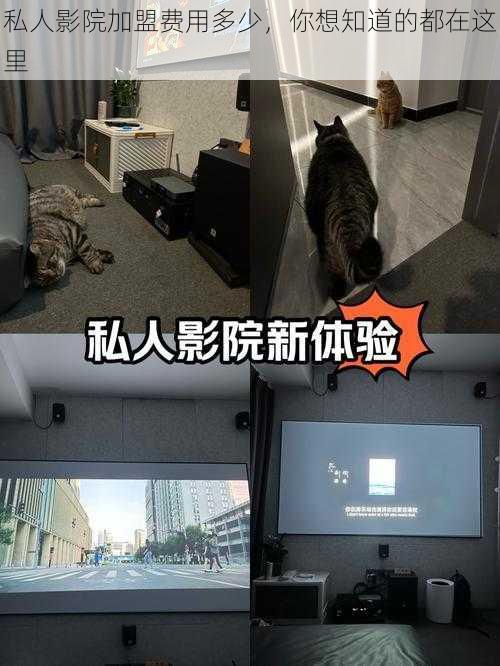 私人影院加盟费用多少,你想知道的都在这里