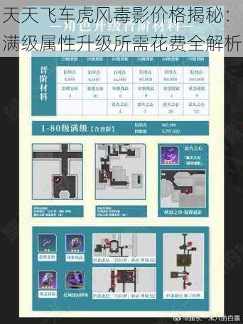 天天飞车虎风毒影价格揭秘:满级属性升级所需花费全解析