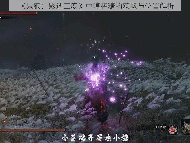 《只狼:影逝二度》中哼将糖的获取与位置解析