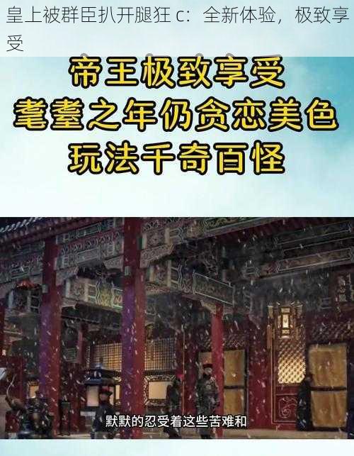 皇上被群臣扒开腿狂 c:全新体验,极致享受