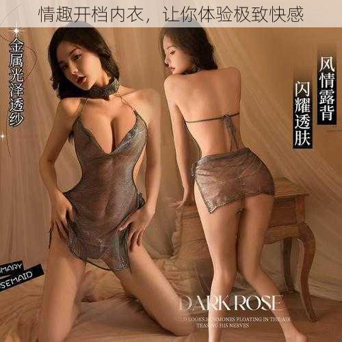 情趣开档内衣,让你体验极致快感