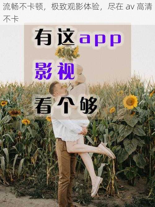 流畅不卡顿,极致观影体验,尽在 av 高清不卡