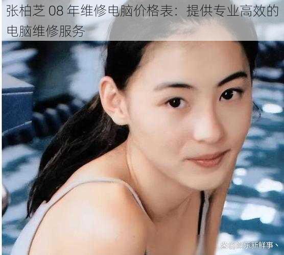 张柏芝 08 年维修电脑价格表:提供专业高效的电脑维修服务