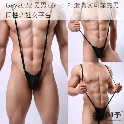 Gay2022 男男 com:打造真实可靠的男同性恋社交平台