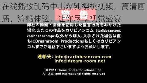 在线播放乱码中出爆乳樱桃视频,高清画质,流畅体验,让你尽享视觉盛宴