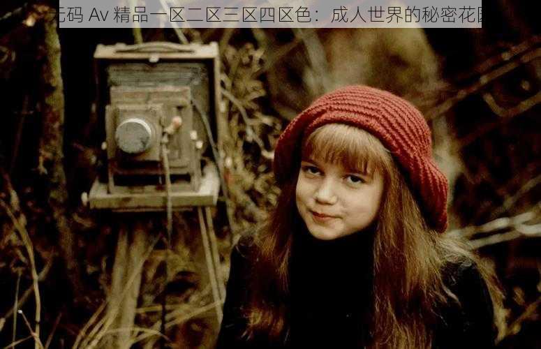 无码 Av 精品一区二区三区四区色:成人世界的秘密花园