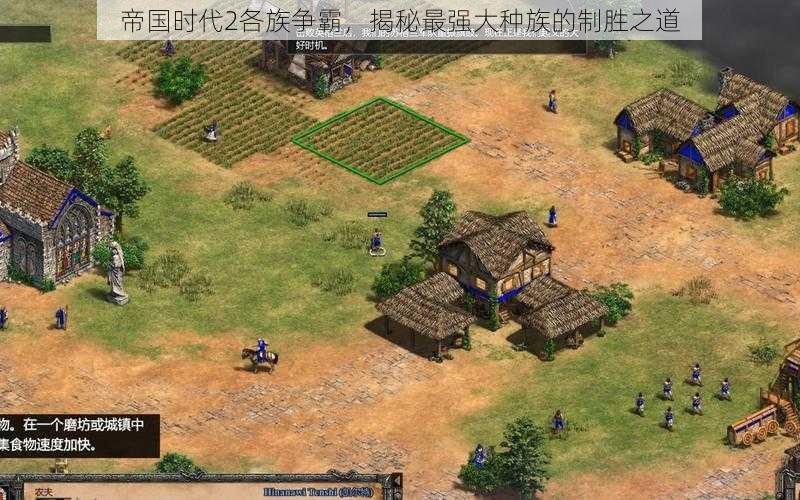 帝国时代2各族争霸,揭秘最强大种族的制胜之道