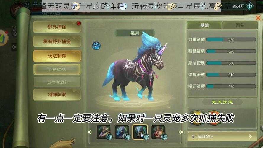 刀锋无双灵宠升星攻略详解:玩转灵宠升级与星辰点亮秘籍