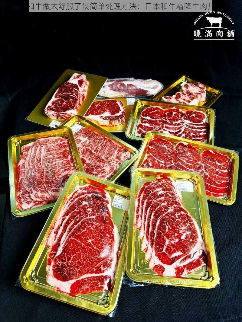 和牛做太舒服了最简单处理方法:日本和牛霜降牛肉片