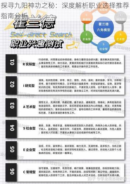 探寻九阳神功之秘:深度解析职业选择推荐指南分析