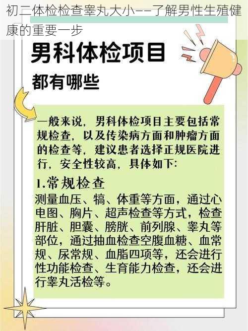 初二体检检查睾丸大小——了解男性生殖健康的重要一步