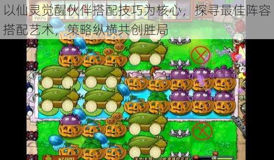 以仙灵觉醒伙伴搭配技巧为核心,探寻最佳阵容搭配艺术,策略纵横共创胜局