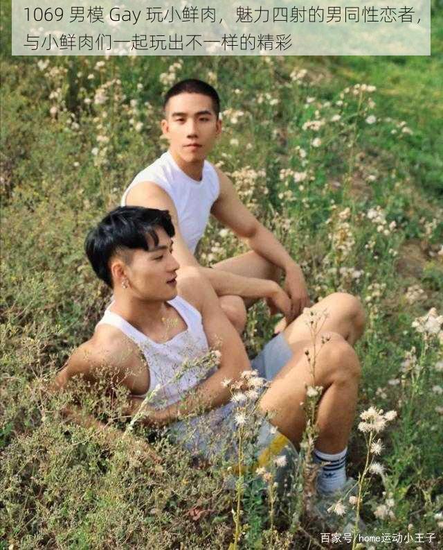 1069 男模 Gay 玩小鲜肉,魅力四射的男同性恋者,与小鲜肉们一起玩出不一样的精彩