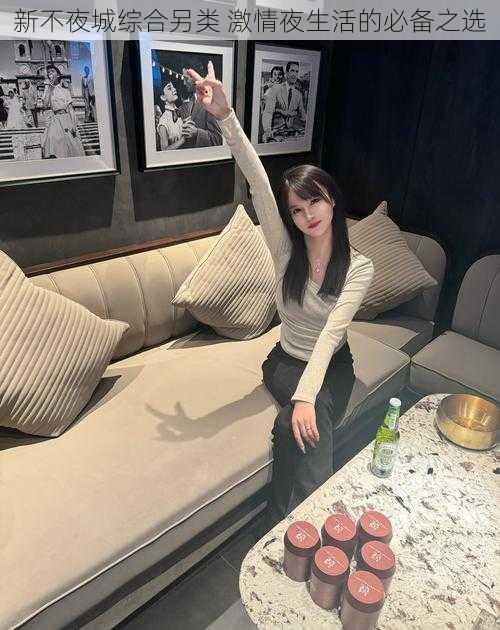 新不夜城综合另类 激情夜生活的必备之选