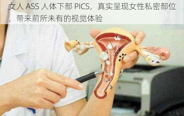 女人 ASS 人体下部 PICS,真实呈现女性私密部位,带来前所未有的视觉体验