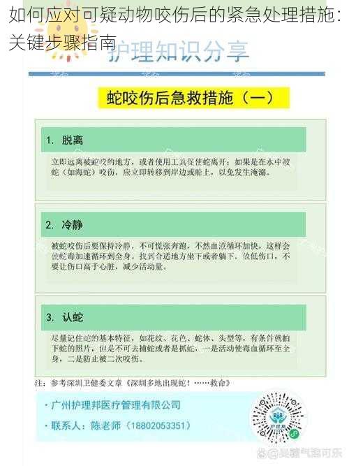 如何应对可疑动物咬伤后的紧急处理措施:关键步骤指南
