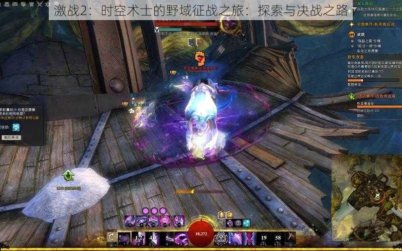 激战2:时空术士的野域征战之旅:探索与决战之路