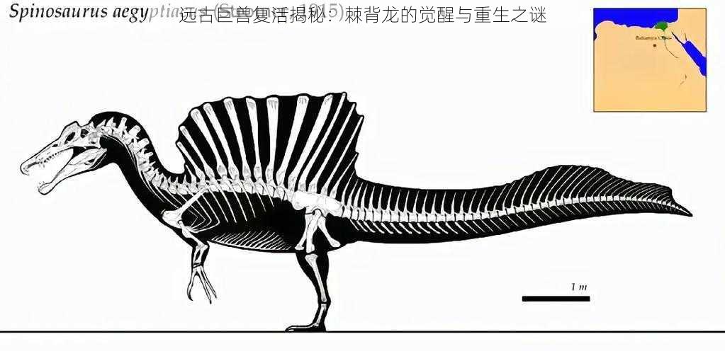 远古巨兽复活揭秘:棘背龙的觉醒与重生之谜