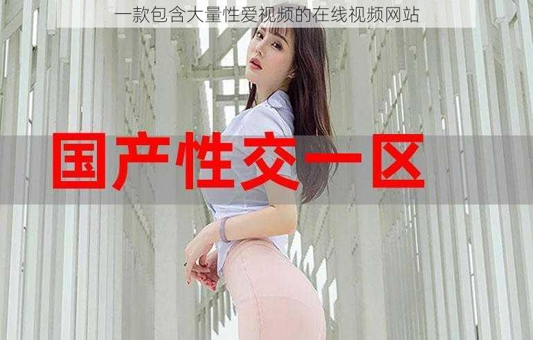 一款包含大量性爱视频的在线视频网站