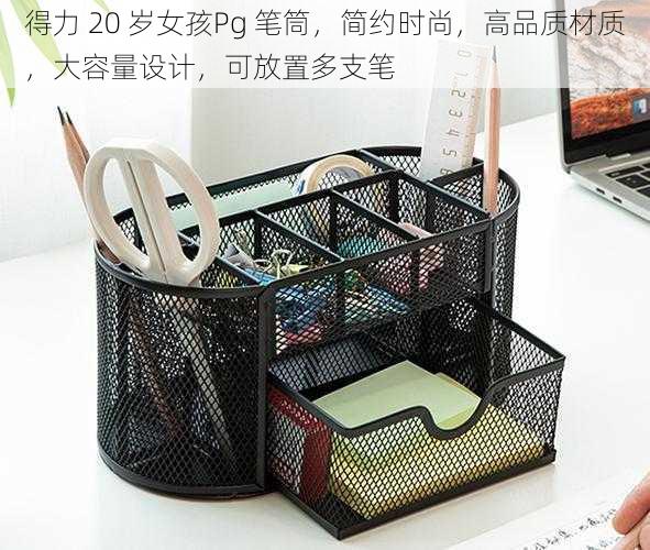 得力 20 岁女孩Pg 笔筒,简约时尚,高品质材质,大容量设计,可放置多支笔