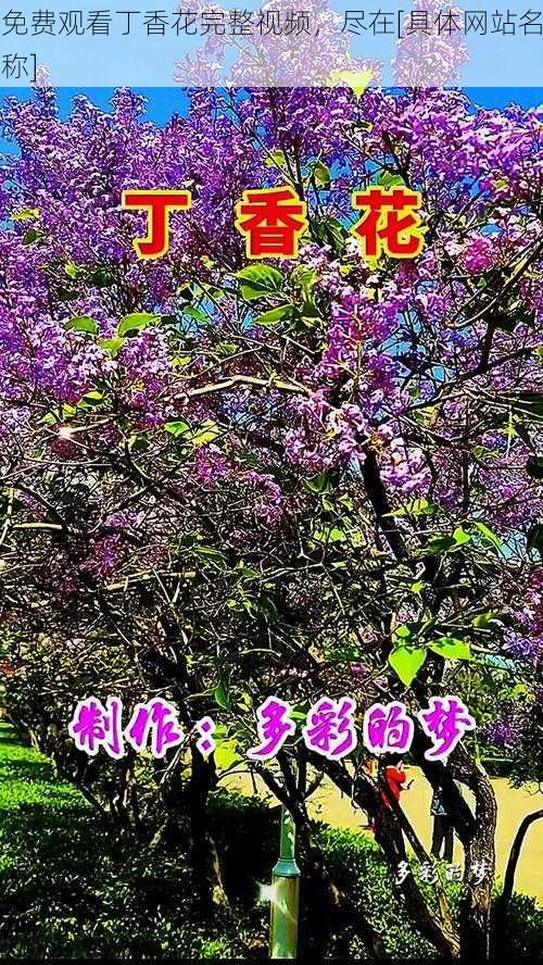 免费观看丁香花完整视频，尽在[具体网站名称]