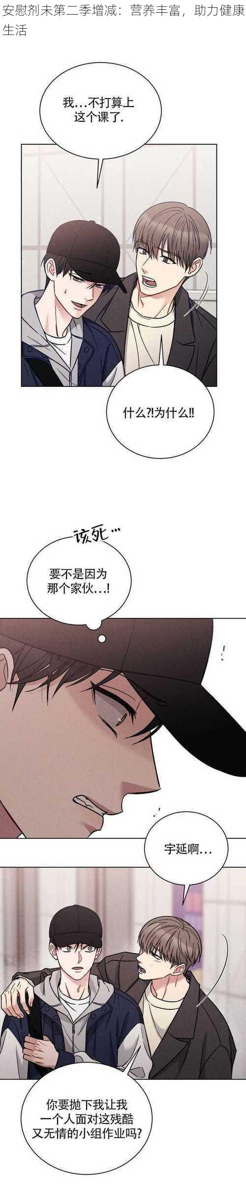 安慰剂未第二季增减:营养丰富,助力健康生活